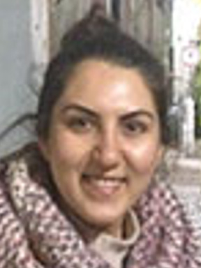 Ayse Nihan Kilinc, PhD